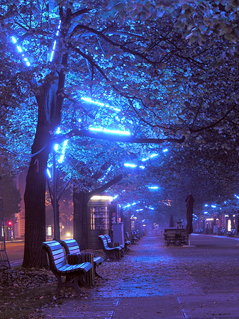 Foto Unter den Linden
