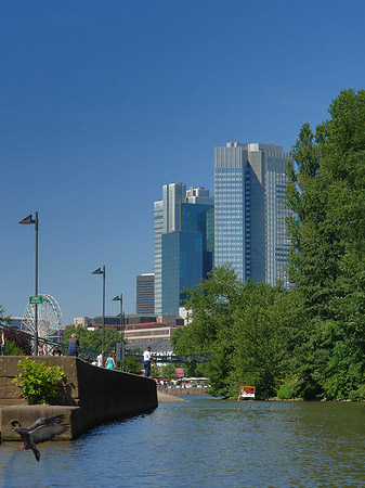 Foto Eurotower und Dresdener Bank