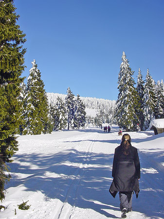 Foto Brockenwanderung