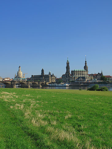 Foto Canalettoblick mit Wiese - Dresden