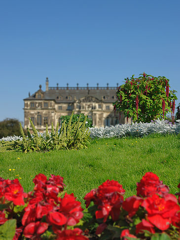 Foto Blumen vor dem Palais - Dresden