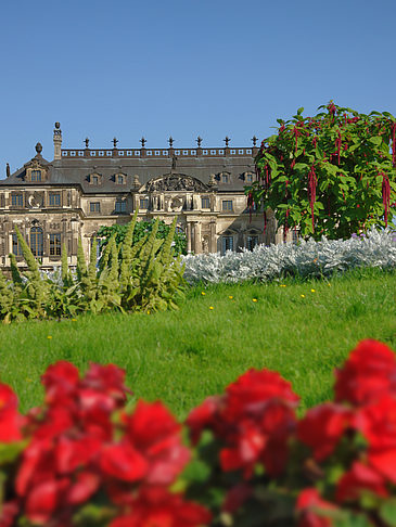 Blumen vor dem Palais