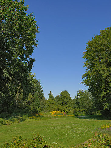 Foto Wiese mit Bäumen - Dresden