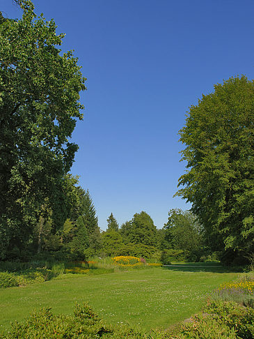 Foto Wiese mit Bäumen - Dresden