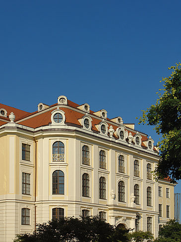 Foto Blick durch Bäume - Dresden