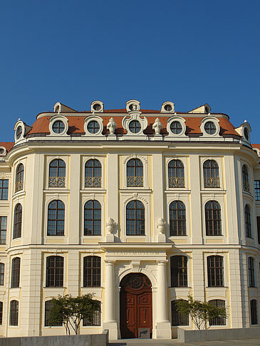 Fotos Stadtmuseum | Dresden