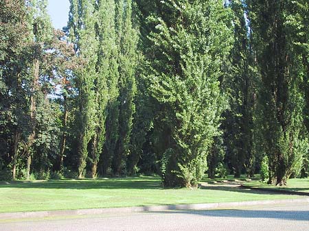 Sowjetisches Ehrenmal Foto 