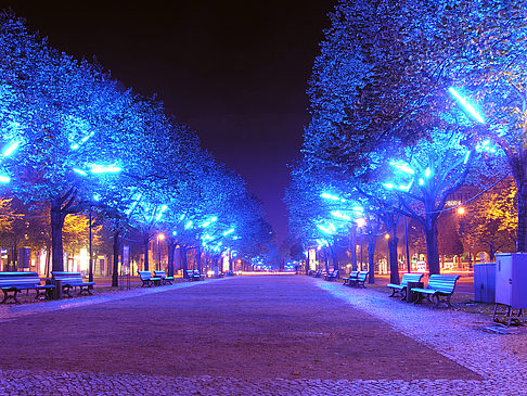 Foto Unter den Linden - Berlin