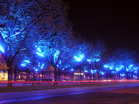 Unter den Linden