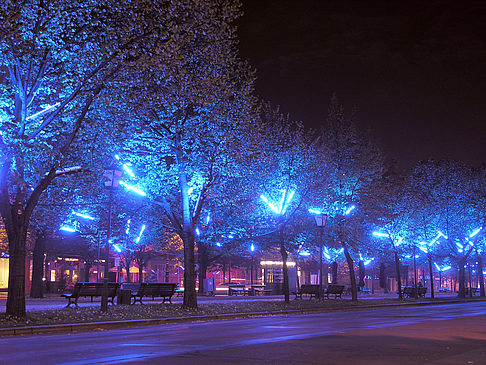 Foto Unter den Linden - Berlin