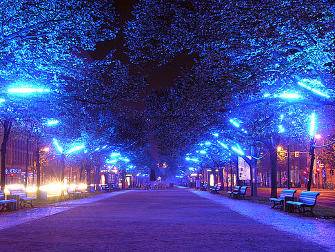Fotos Unter den Linden