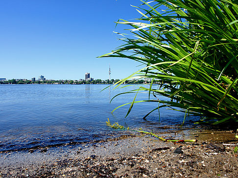 Foto Badestrand an der Außenalster