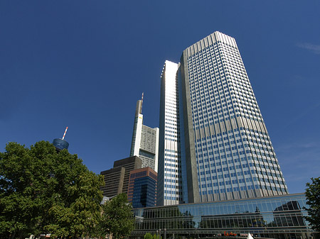 Eurotower mit Häusern