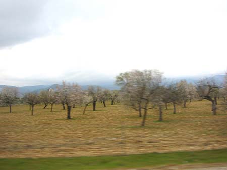 Berge Foto 