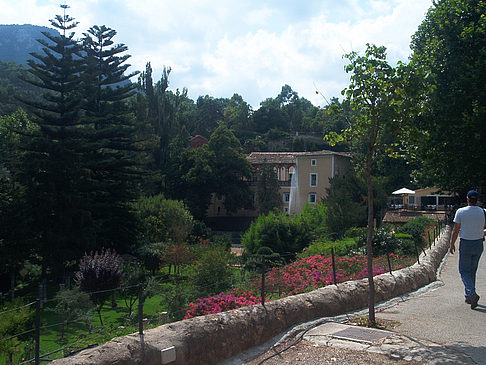 La Granja Fotos
