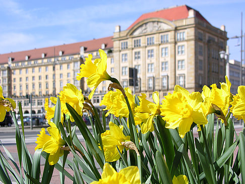 Altmarkt Foto 
