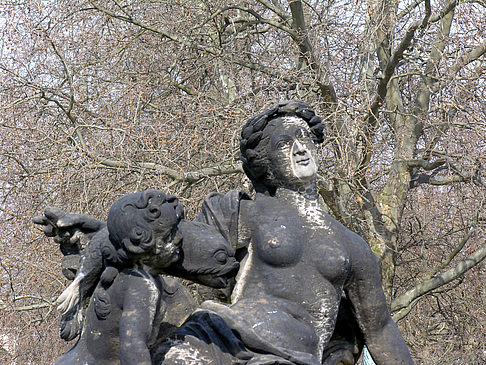 Fotos Bellevuegärten | Dresden