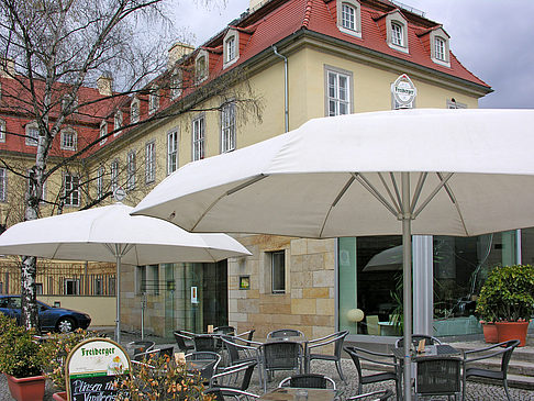 Brühlsche Gärten Foto 