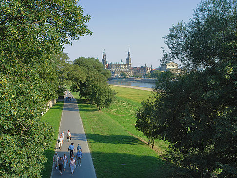 Canalettoblick durch Bäume Fotos