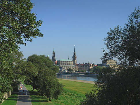 Canalettoblick durch Bäume