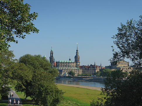 Foto Canalettoblick durch Bäume - Dresden
