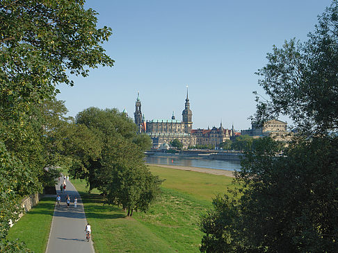 Canalettoblick durch Bäume