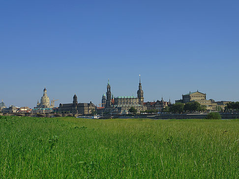 Foto Canalettoblick mit Wiese - Dresden