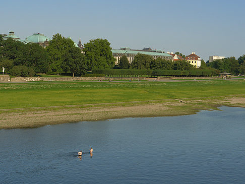 Foto Boot auf der Elbe
