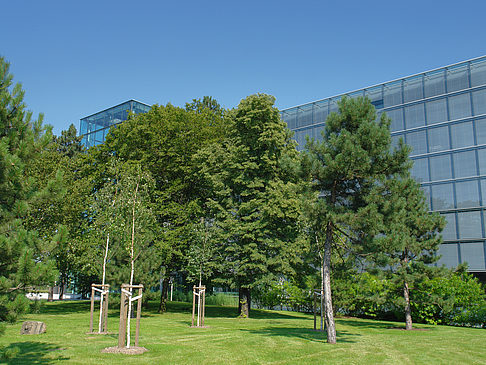 Foto Gläserne Manufaktur - Dresden