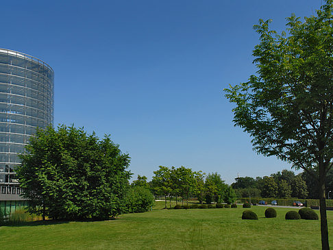 Fotos Gläserne Manufaktur mit Wiese | Dresden