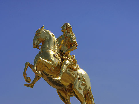 Foto Goldener Reiter Nahaufnahme