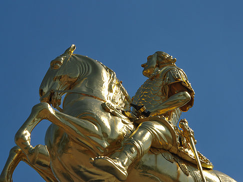 Foto Goldener Reiter Nahaufnahme - Dresden