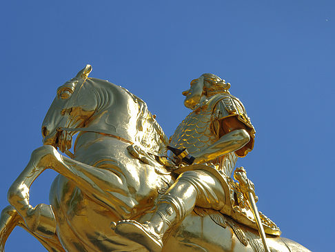 Fotos Goldener Reiter Nahaufnahme