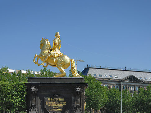 Fotos Goldener Reiter