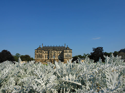 Blumen vor dem Palais