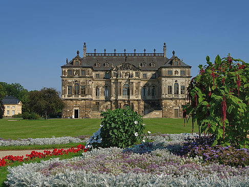 Blumen vor dem Palais Foto 