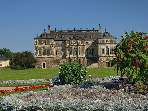 Blumen vor dem Palais Foto 