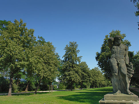 Foto Statue im Großen Garten - Dresden