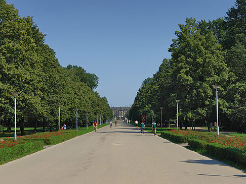 Foto Weg