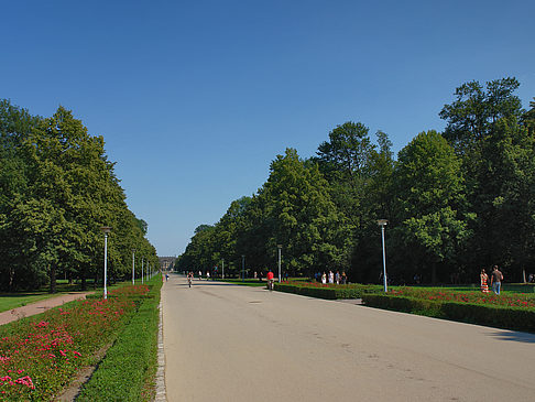 Fotos Weg