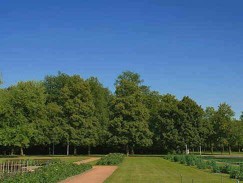 Foto Weg - Dresden