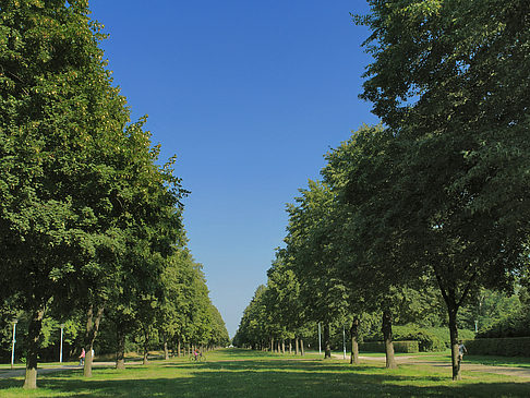 Foto Weg