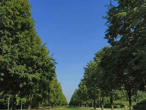 Foto Weg - Dresden