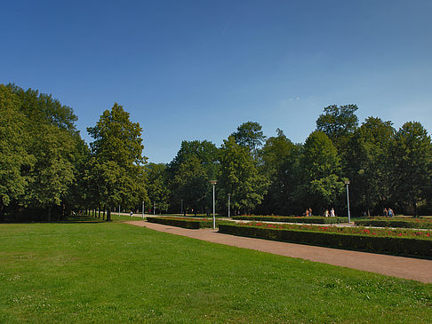 Wiese Fotos