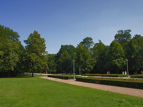 Wiese Fotos