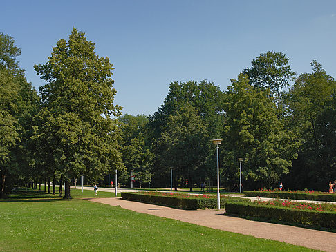Wiese