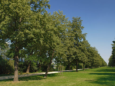 Wiese Fotos