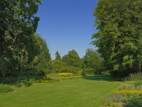 Fotos Wiese mit Bäumen