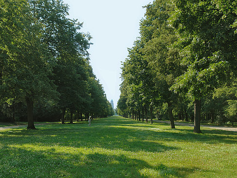 Wiese mit Bäumen
