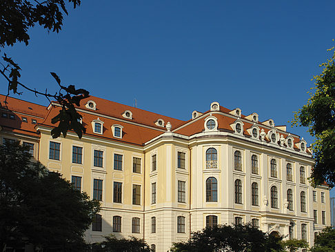Foto Blick durch Bäume